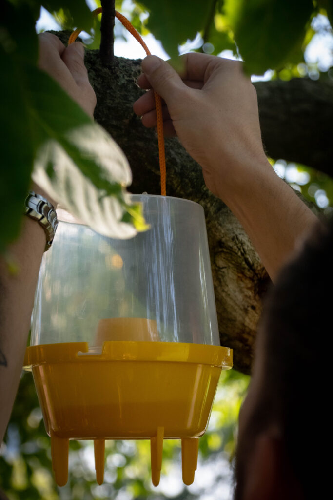 Knock Pest Wespenval met 250 ml Lokstof - Effectieve Vangst van Wespen - afbeelding 2