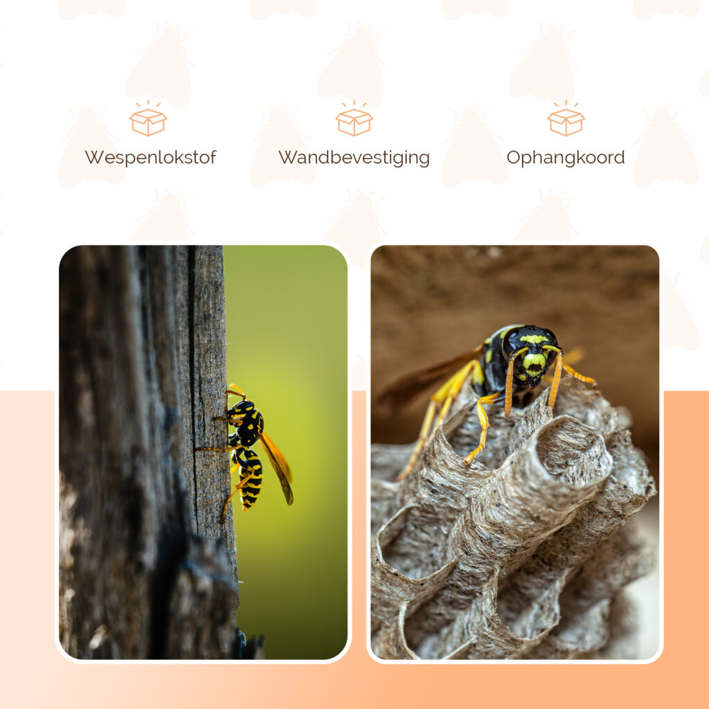 Knock Pest Wespenval XL - Robuuste val voor grote hoeveelheden wespen - afbeelding 3