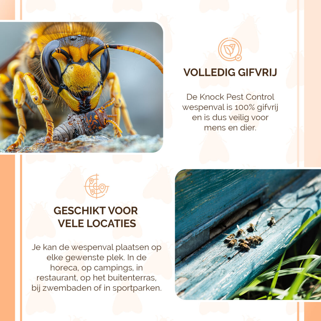 Knock Pest Wespenval XL - Robuuste val voor grote hoeveelheden wespen - afbeelding 4