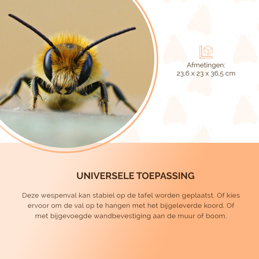 Knock Pest Wespenval XL - Robuuste val voor grote hoeveelheden wespen - afbeelding 5