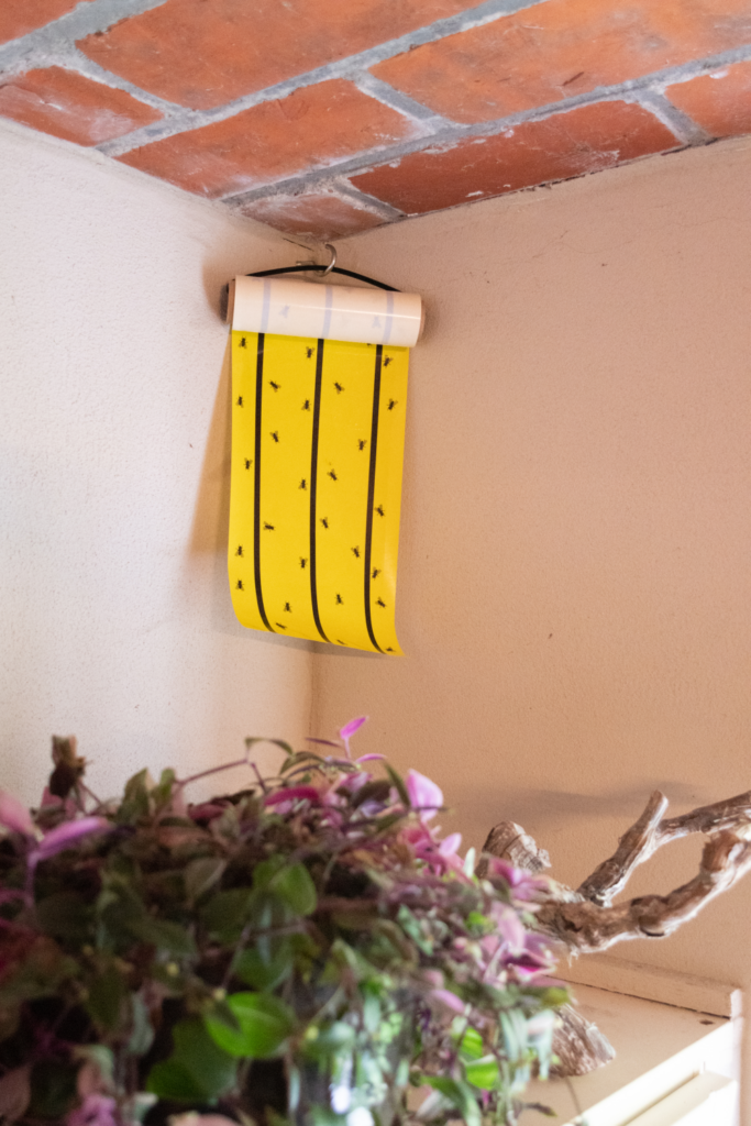 Knock Pest Vliegenkleefrol Geel 5 m - Vliegenbestrijding - afbeelding 5