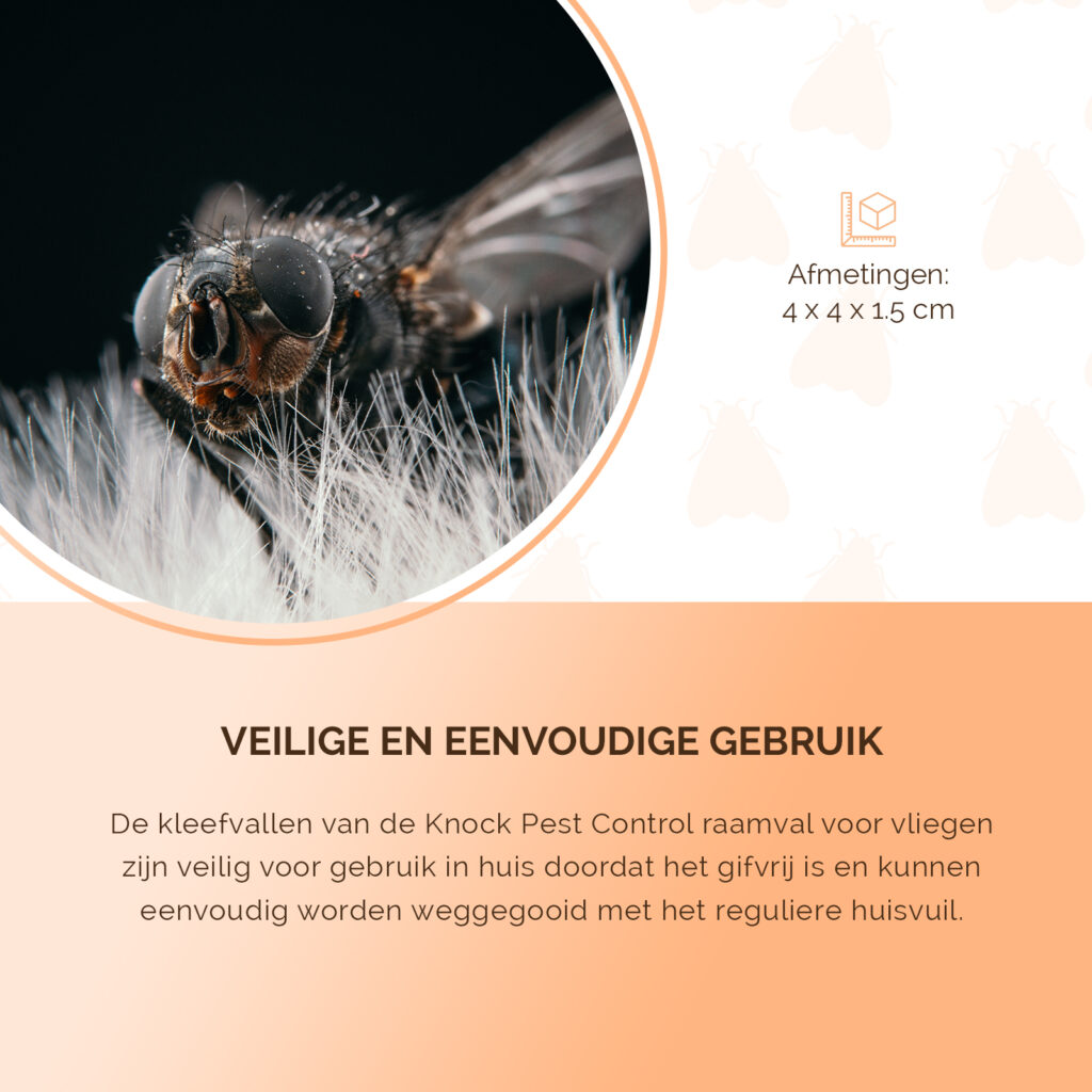 Knock Pest Raamval Voor Vliegen - 4 Kleefvallen - afbeelding 4
