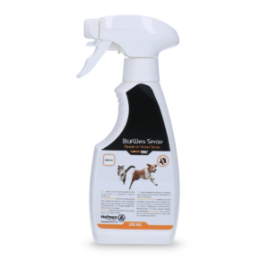 Knock Pest BlijfWeg Spray voor binnen - 250 ml