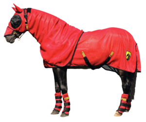Horse Armor Knockdown Vliegendeken 191 cm met Insect Shield