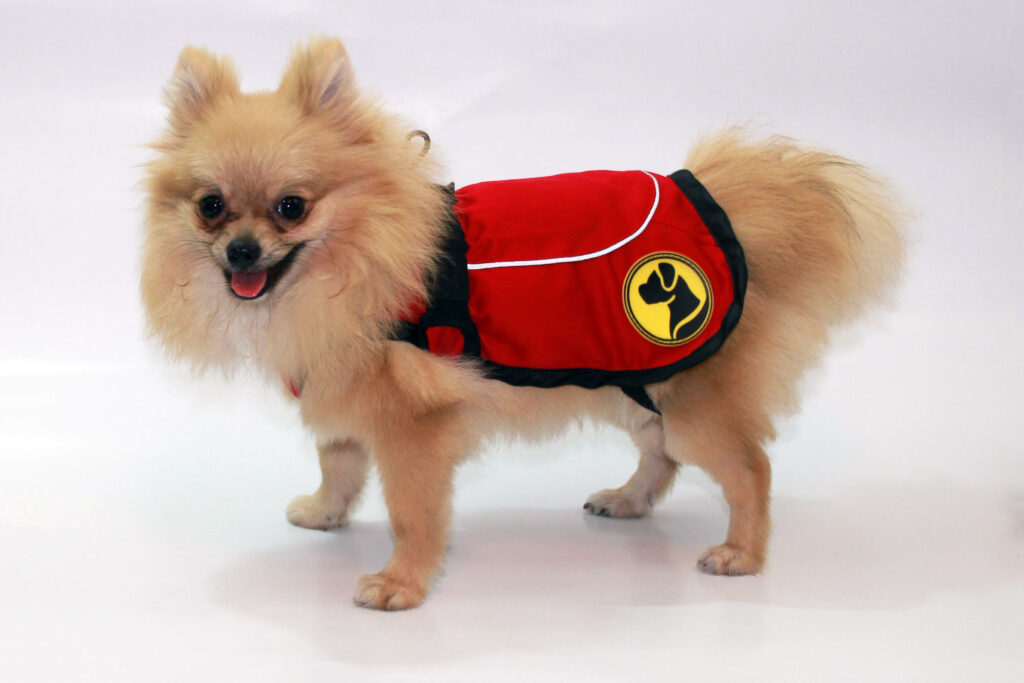 Dog Armor Knockdown Coat (Insect Shield) XXS - 30 cm ruglengte - afbeelding 2
