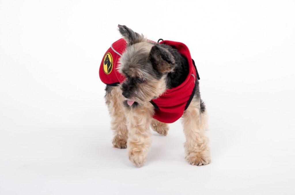 Dog Armor Knockdown Coat (Insect Shield) XXXXS - 20cm ruglengte - afbeelding 6