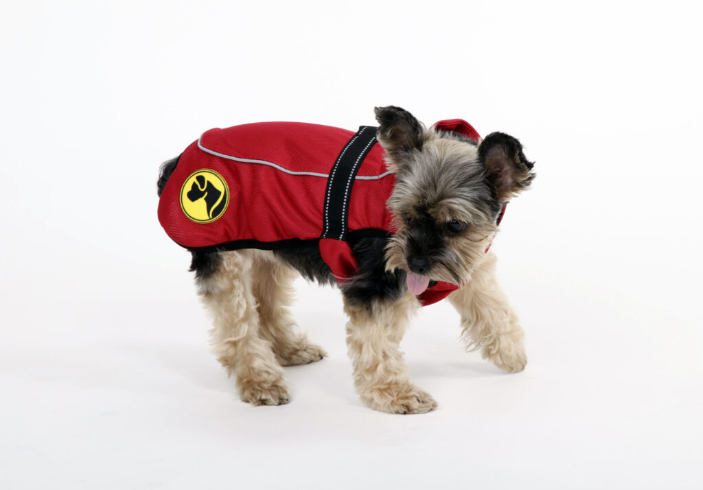 Dog Armor Knockdown Coat (Insect Shield) XXXXS - 20cm ruglengte - afbeelding 1