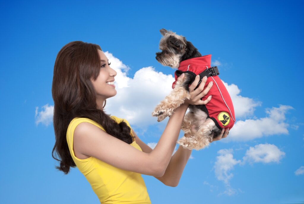 Dog Armor Knockdown Coat (Insect Shield) XXXXS - 20cm ruglengte - afbeelding 5