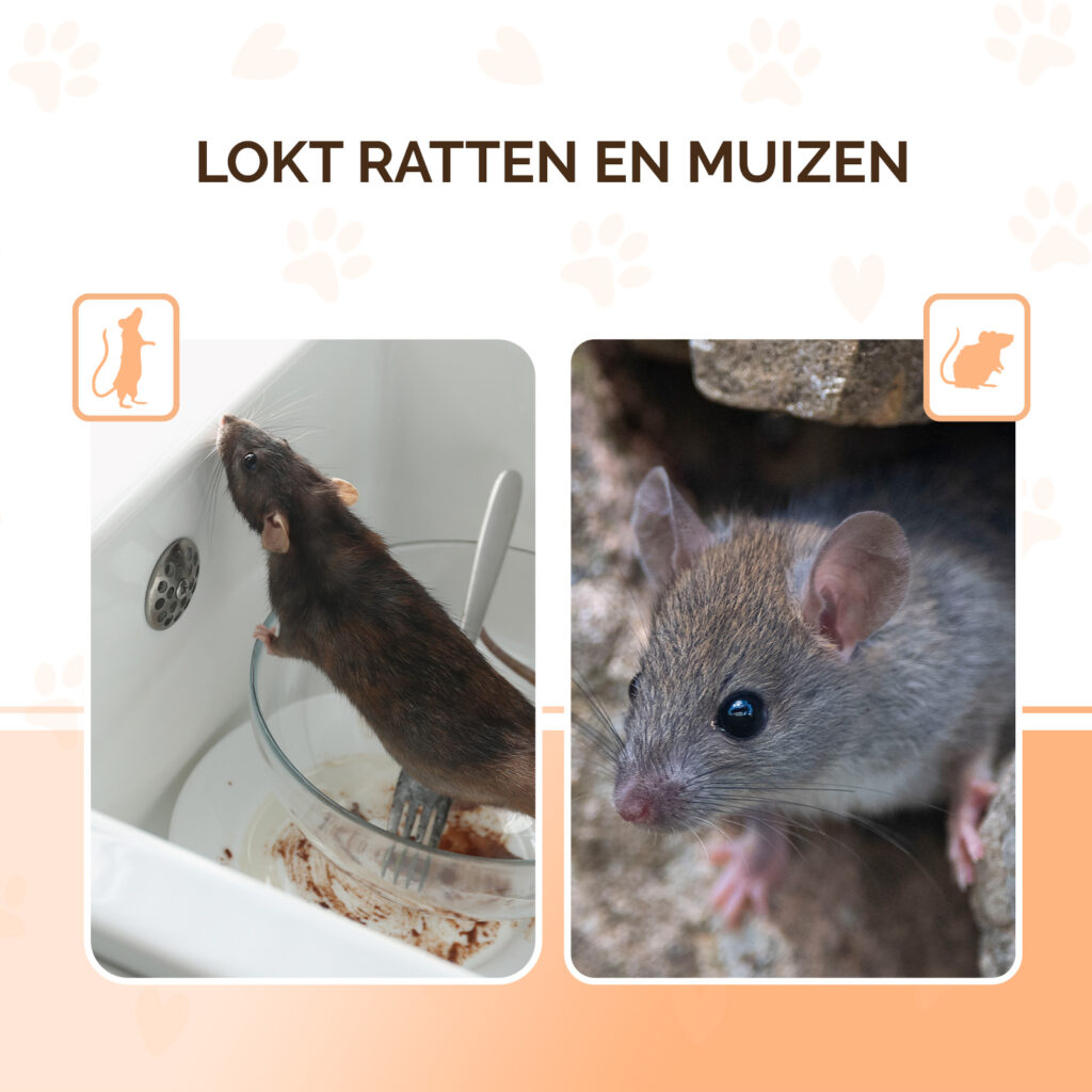 Knock Pest Traktatie Pellets 50 g voor Muizen en Ratten - afbeelding 3