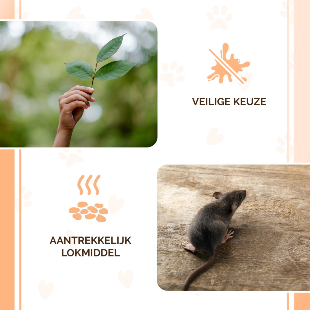 Knock Pest Traktatie Pellets 50 g voor Muizen en Ratten - afbeelding 4