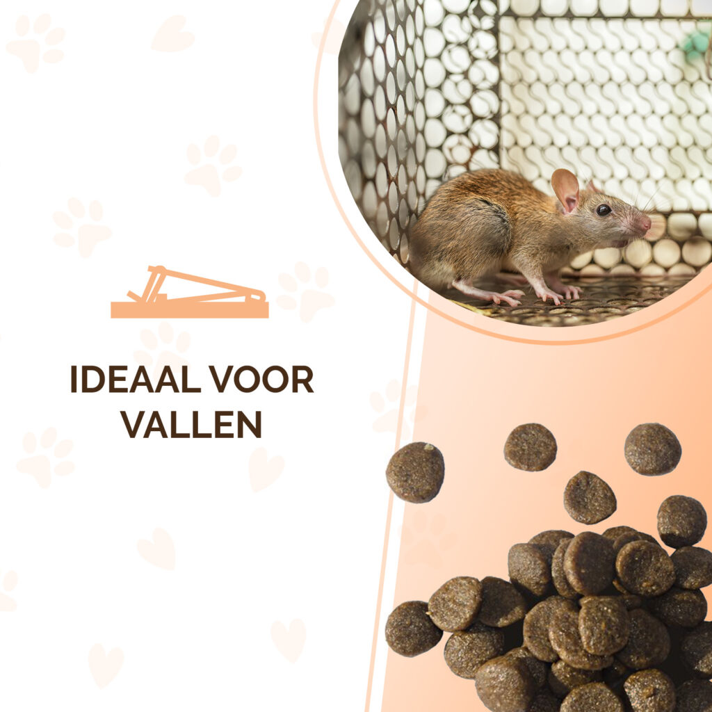Knock Pest Traktatie Pellets 50 g voor Muizen en Ratten - afbeelding 5