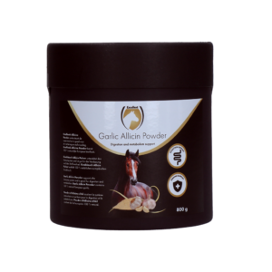 Excellent Horse Garlic Allicin Powder 800 g - Knoflookpoeder voor Paarden