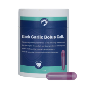 Excellent Black Garlic Bolus Kalf - Ondersteuning voor Kalveren
