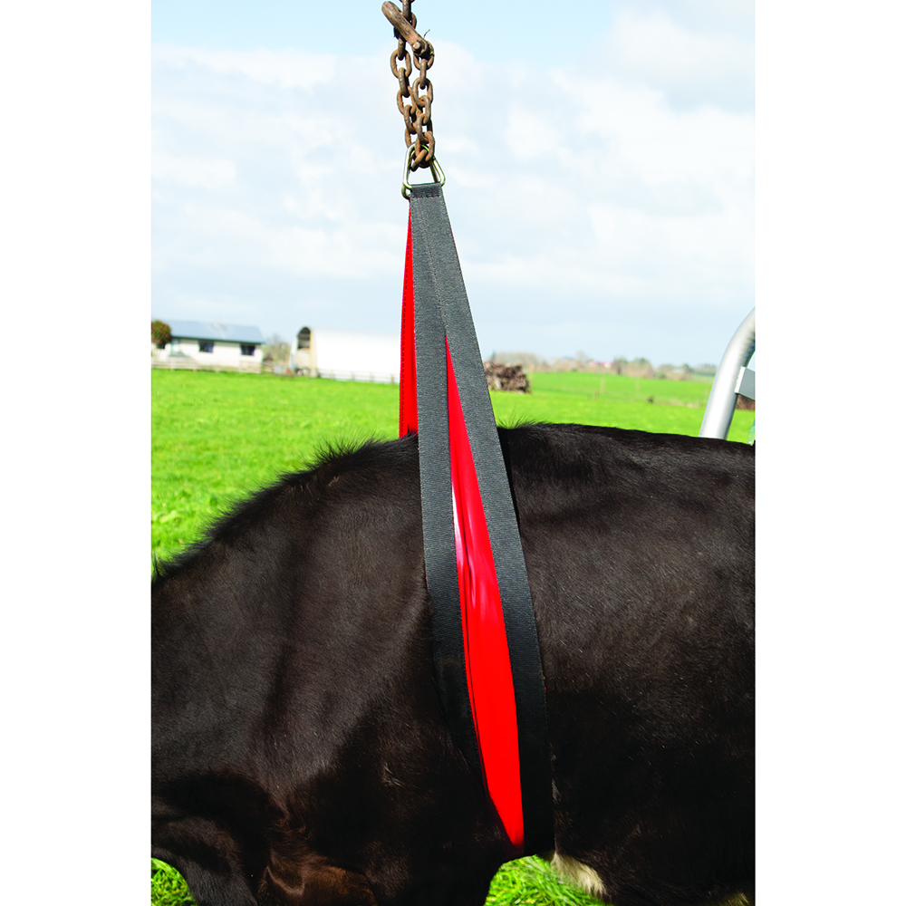 Koelifter Belly Strap Front Lift 2,4 meter - afbeelding 1