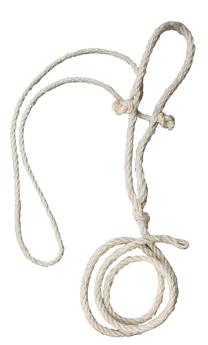 Koetouwhalster met dun koptouw 200 cm