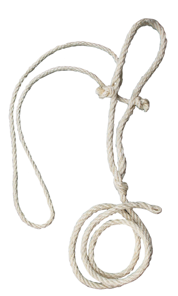 Koetouwhalster met dun koptouw 200 cm