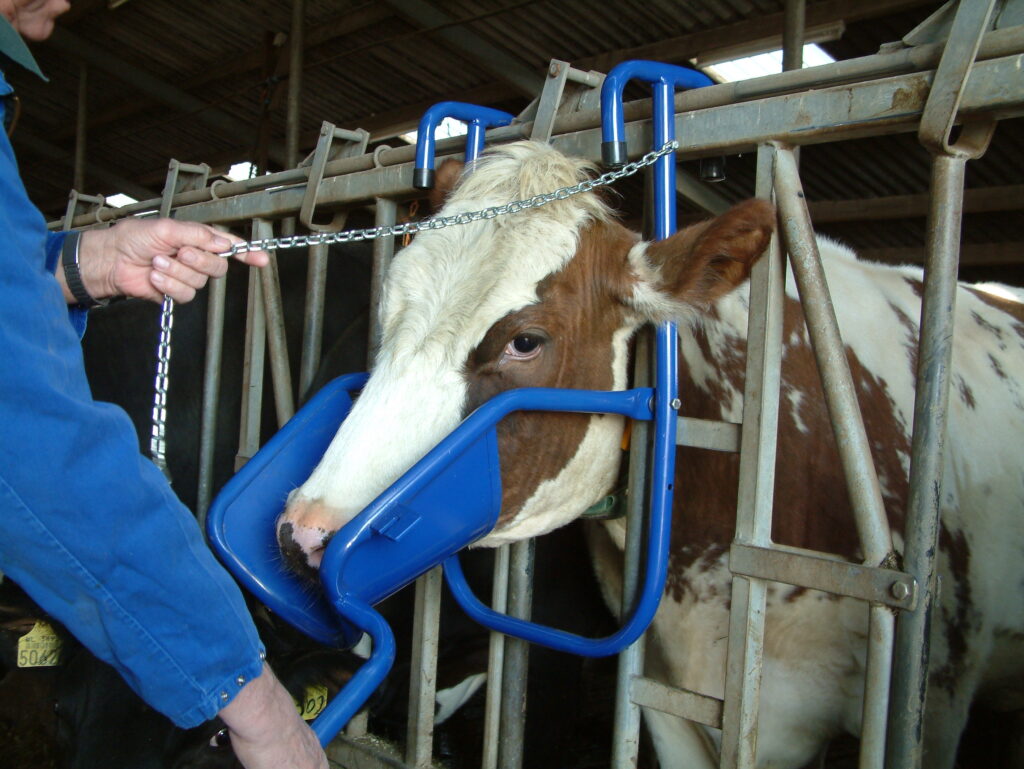 Vink Kopheffer - Voor het gemakkelijk toedienen van orale producten - afbeelding 2