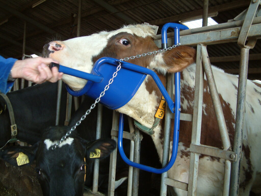 Vink Kopheffer - Voor het gemakkelijk toedienen van orale producten - afbeelding 5
