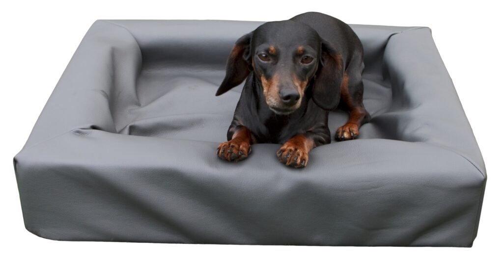 Lounge Hondenbed S - 50 x 60 cm - Geschikt voor kleine honden - afbeelding 3