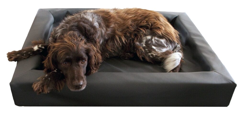 Lounge Hondenbed S - 50 x 60 cm - Geschikt voor kleine honden - afbeelding 2