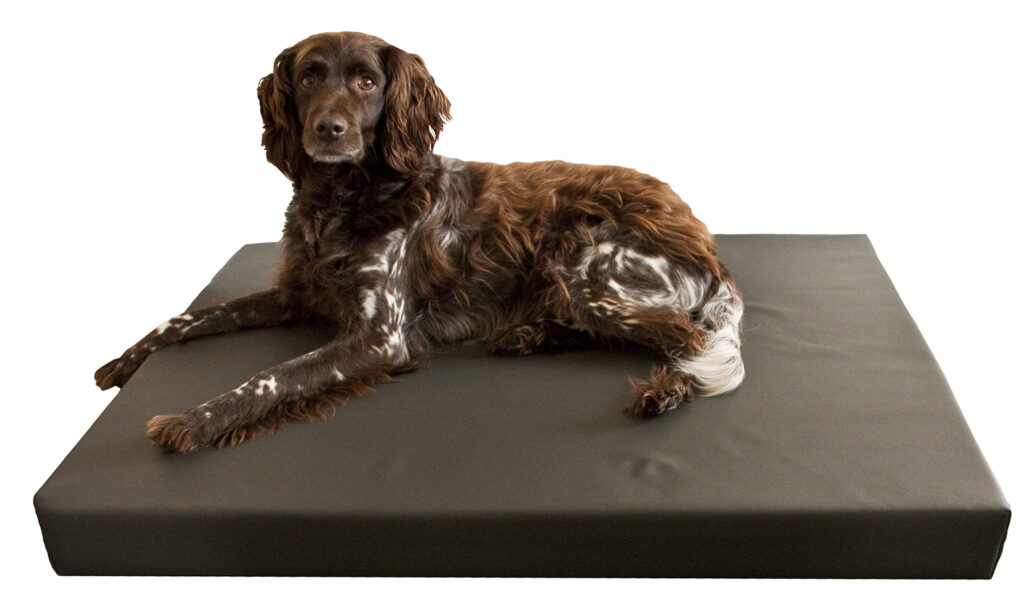 HD Dog Bed M - Orthopedisch hondenbed van Hofman Animal Care - afbeelding 2