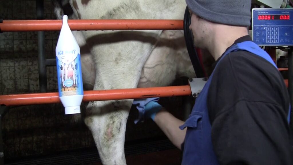 Ice Mint Gel Sta en hangtube 1 l - Uierverzorging voor Melkkoeien - afbeelding 2