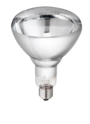 Hard Glas Lamp 250 W - Wit