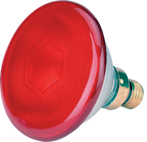 Spaarlamp 175 W - Rood - Merkloos