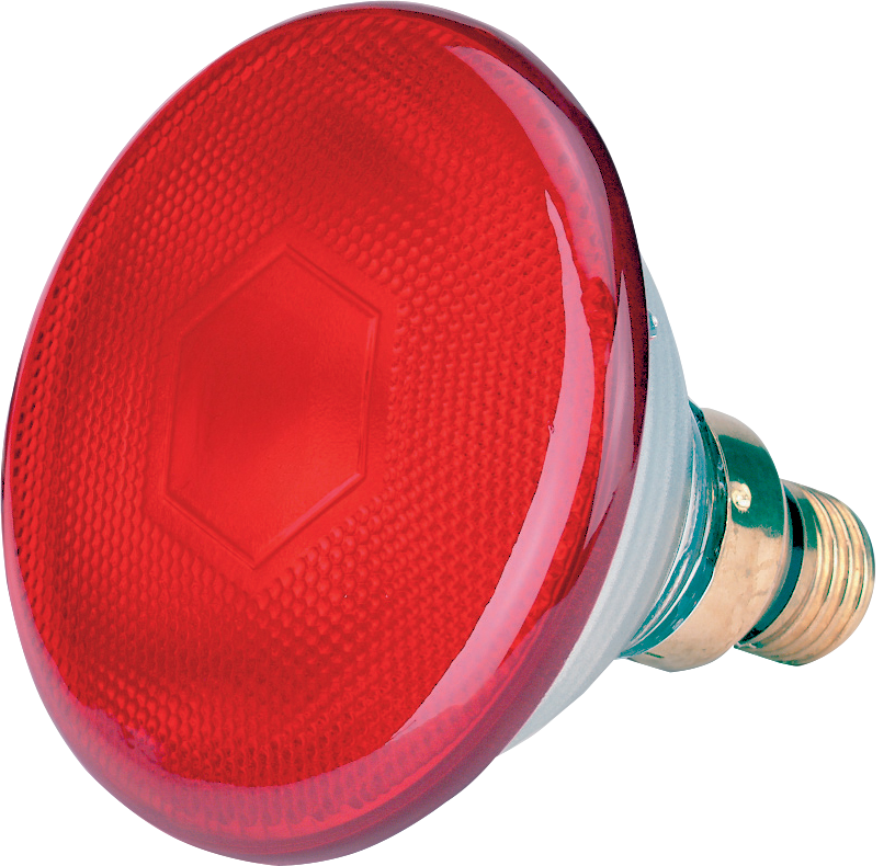 Spaarlamp 175 W - Rood - Merkloos