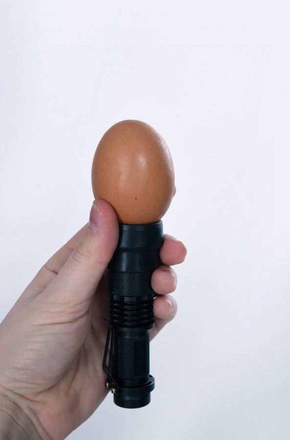 Kerbl Led-schouwlamp voor Eieren - Volg Embryo Ontwikkeling - afbeelding 6