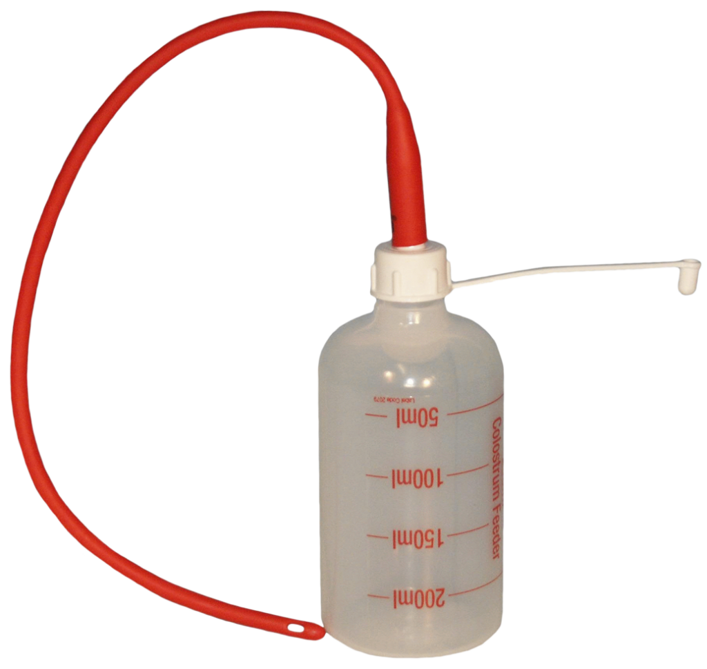 Lammerensonde 40 cm met fles 250 ml