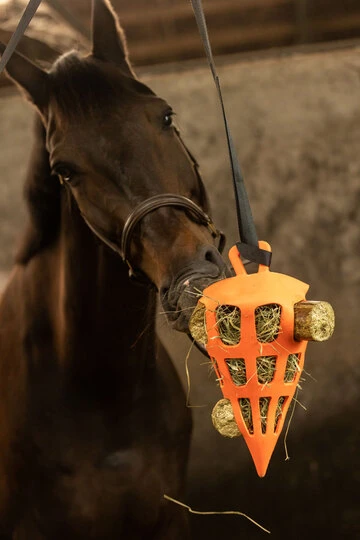 Lax Weide Knabbelblok Hooi/Groente - 4 stuks voor paarden - afbeelding 5