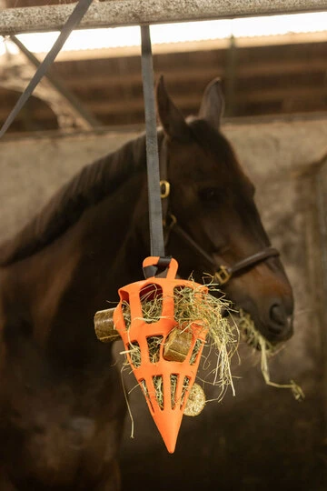 Lax Weide Knabbelblok Hooi/Groente - 4 stuks voor paarden - afbeelding 3