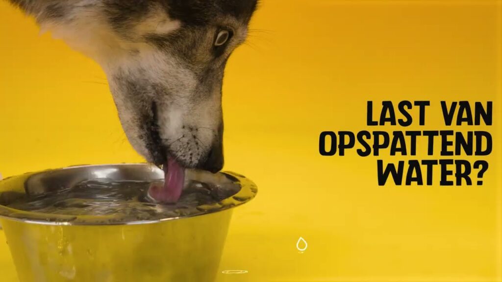 Excellent Pets No-Spill Bowl 300ml Blauw S - Siliconen voer- en drinkbak - afbeelding 4