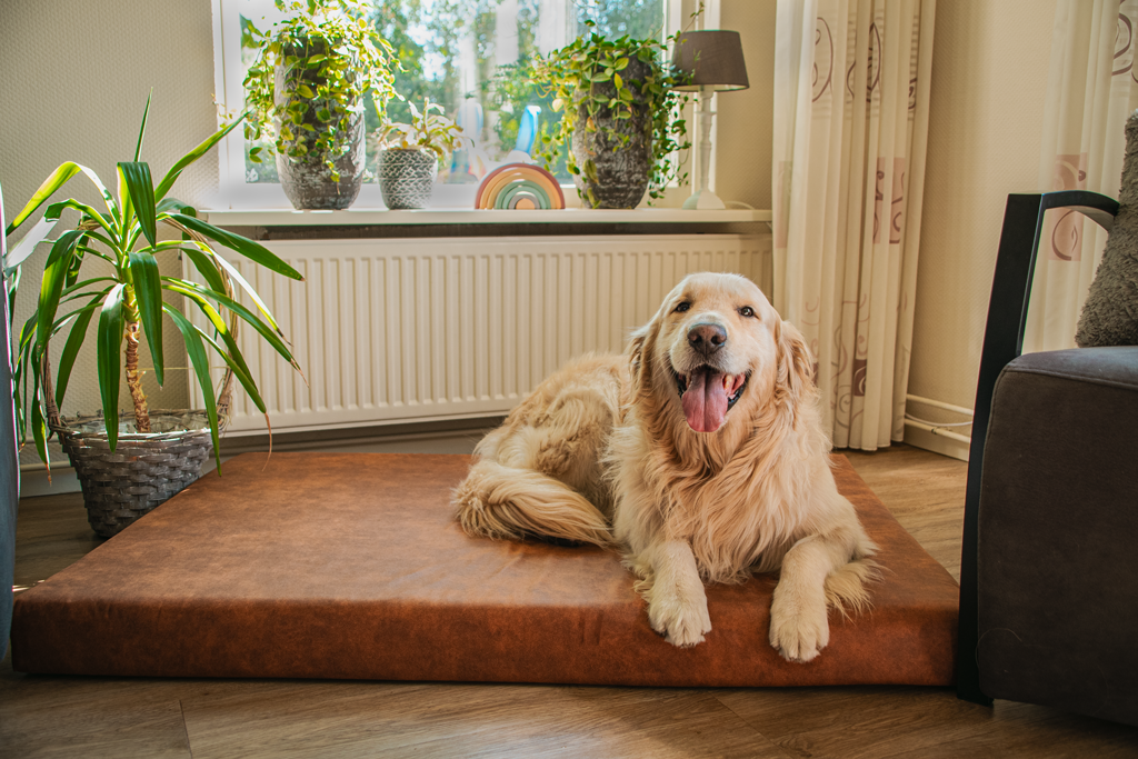Let's Sleep Mellow Mattress Orthopedisch Kussen XL Cognac - afbeelding 3