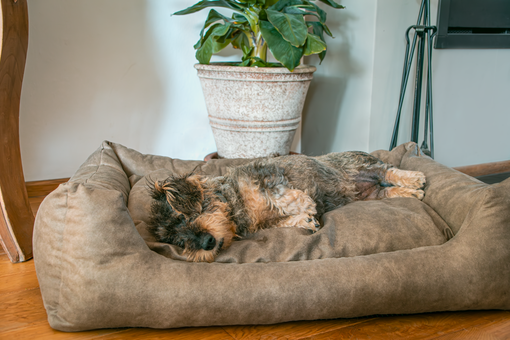 Let's Sleep Sweet Dreams Hondenmand Met Kussen XL Cognac - afbeelding 3
