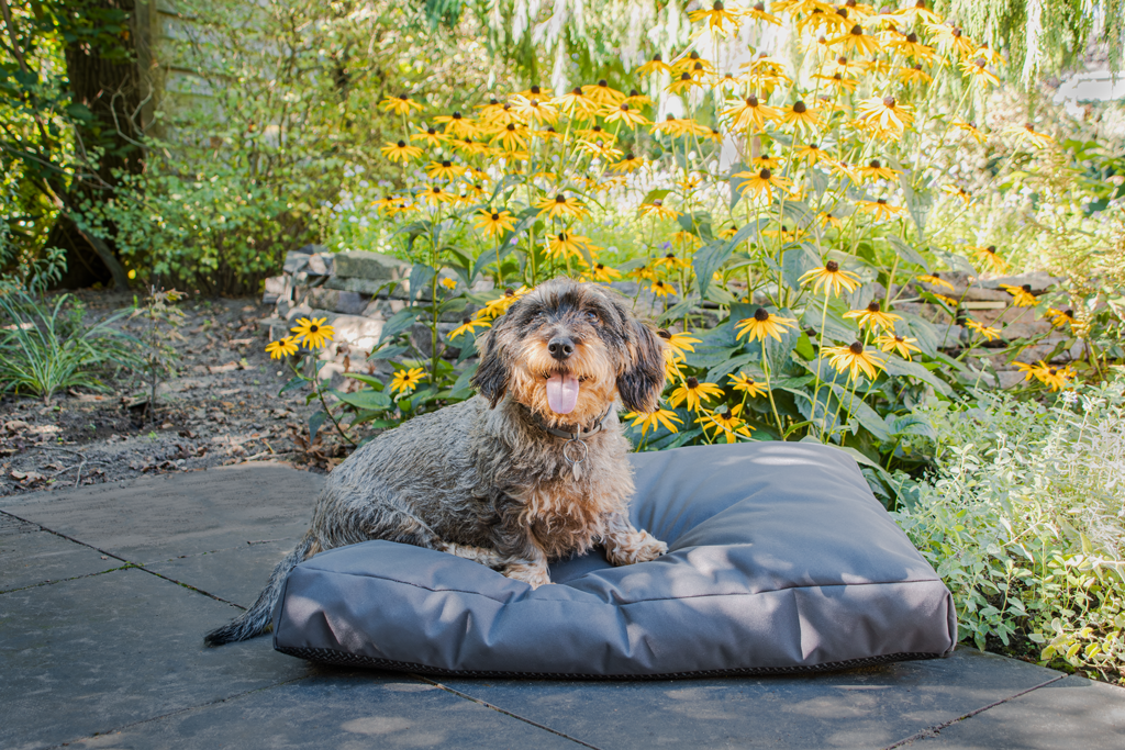 Let's Sleep Cushy Cloud Hondenkussen Buiten M Antraciet - afbeelding 2