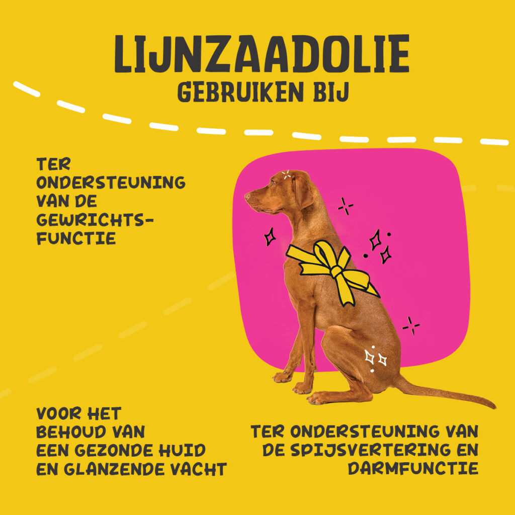Excellent Pets Lijnzaadolie 500 ml - Supplement voor Honden - afbeelding 6