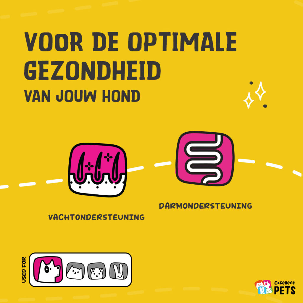 Excellent Pets Lijnzaadolie 500 ml - Supplement voor Honden - afbeelding 3