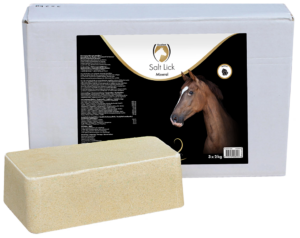 Excellent Horse Salt Lick Mineral 3 x 2 kg - Liksteen voor Paarden