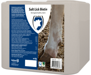 Excellent Liksteen Biotin 10 kg - Ondersteunt Gezonde Klauwen