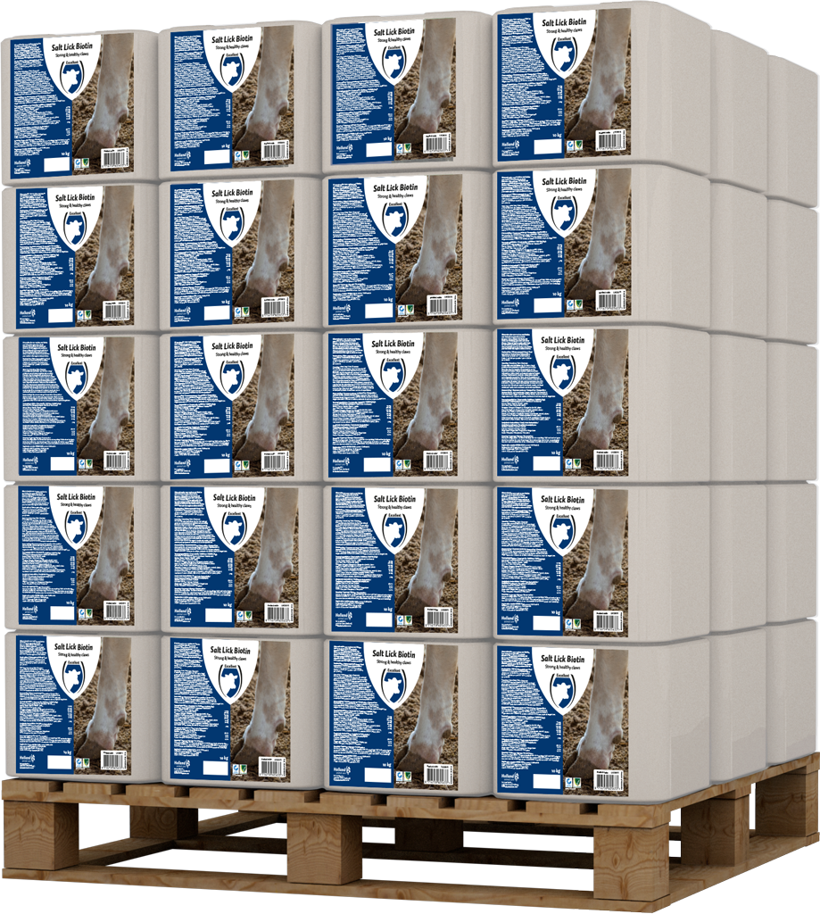 Excellent Liksteen Biotin 10 kg - Ondersteunt Gezonde Klauwen - afbeelding 2
