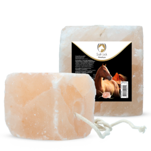 Excellent Horse Salt Lick Himalaya 2-3 kg met touw