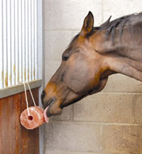Excellent Horse Salt Lick Himalaya 2-3 kg met touw - afbeelding 2