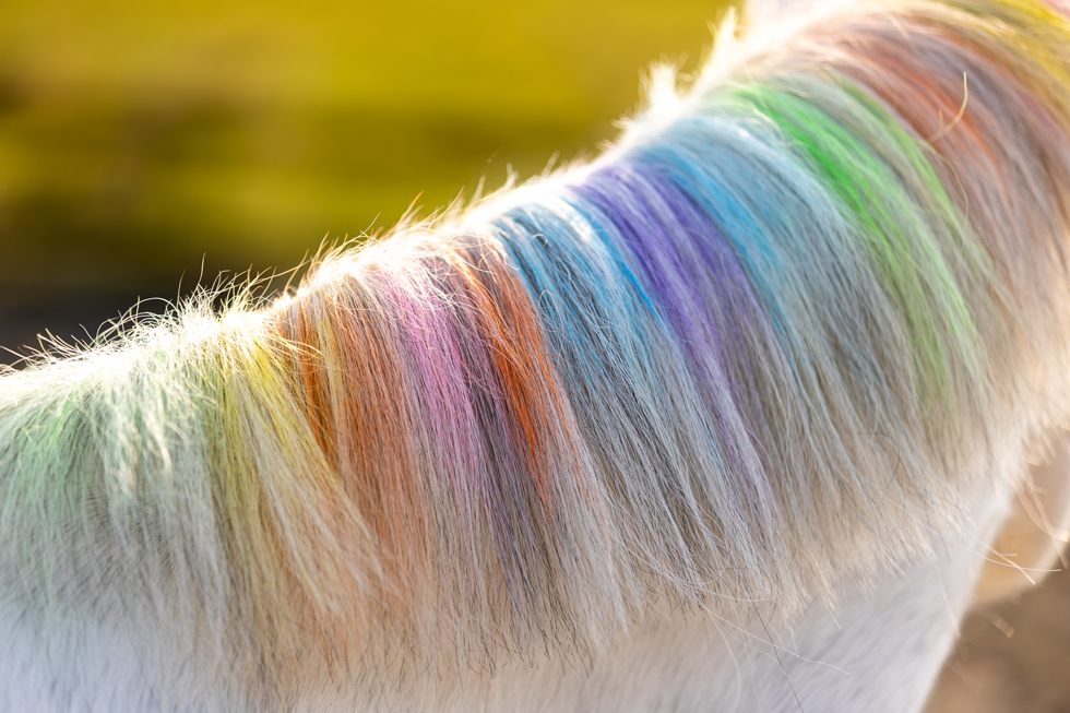 Lucky Horse Unicorn Regenboog Kleurkrijt - 6 stuks - afbeelding 6