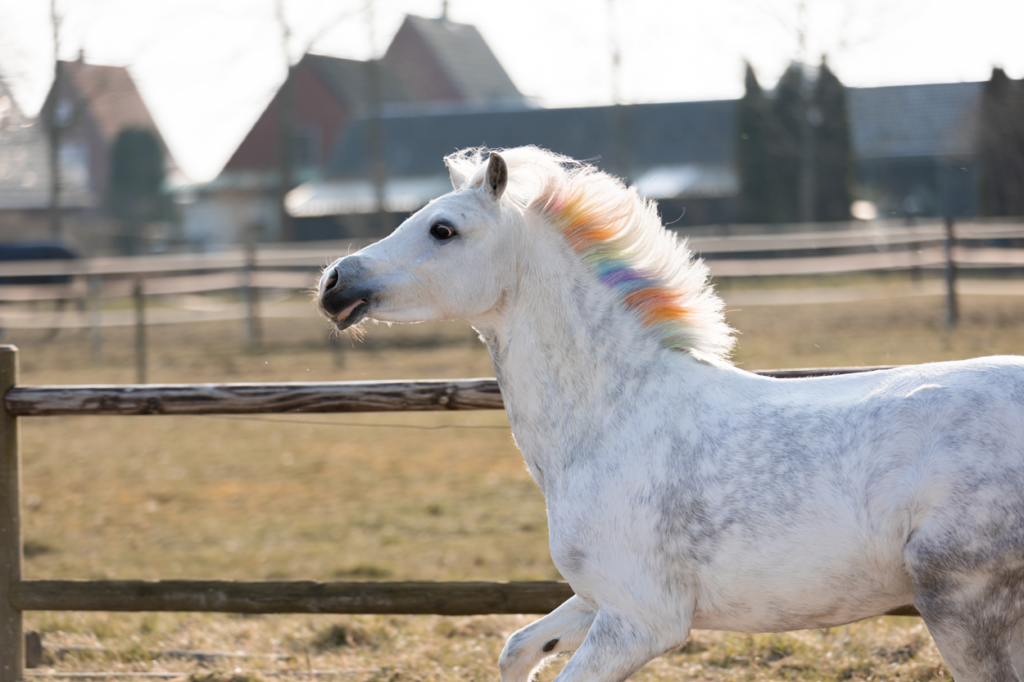 Lucky Horse Unicorn Regenboog Kleurkrijt - 6 stuks - afbeelding 3