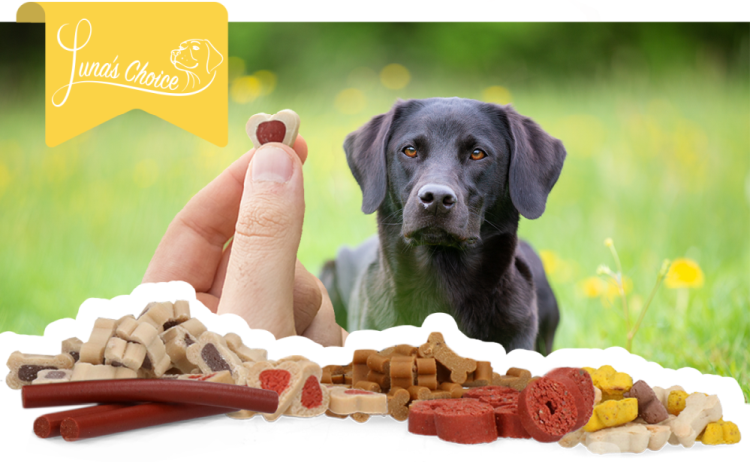 Luna's Choice Trainer Mix Hartjes (klein) - 500 g - afbeelding 2
