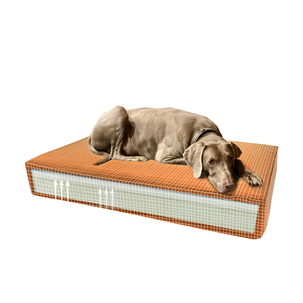 Madison Orthopedisch Kussen Velvet Oranje S - 45 x 55 x 12 cm - afbeelding 1