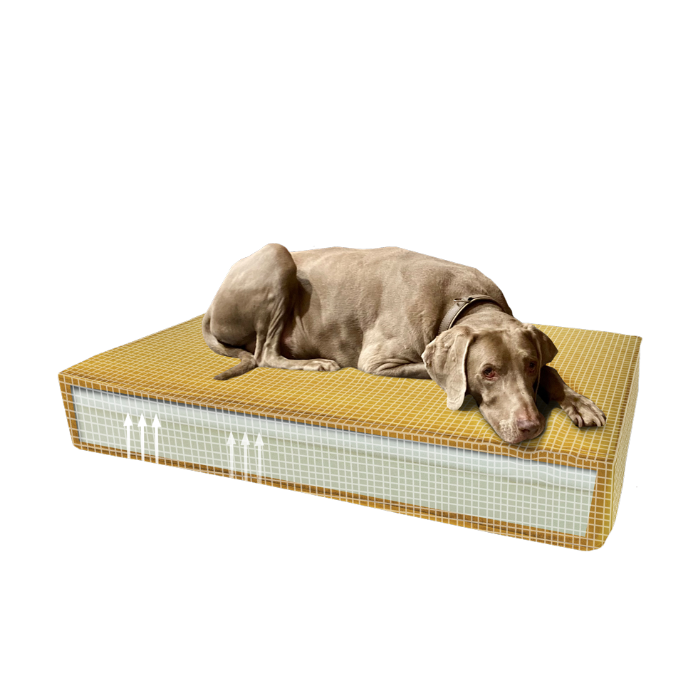 Madison Orthopedisch Kussen Velvet Geel S - 45 x 55 x 12 cm - afbeelding 2