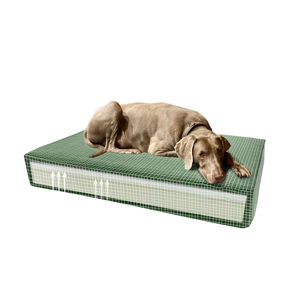 Madison Orthopedisch Kussen Velvet Groen S - 45 x 55 x 12 cm - afbeelding 4